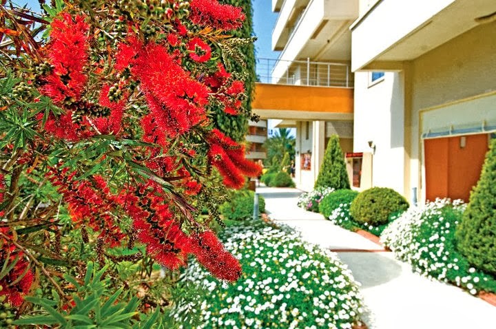 imagini hotel ALAIYE RESORT ALANYA